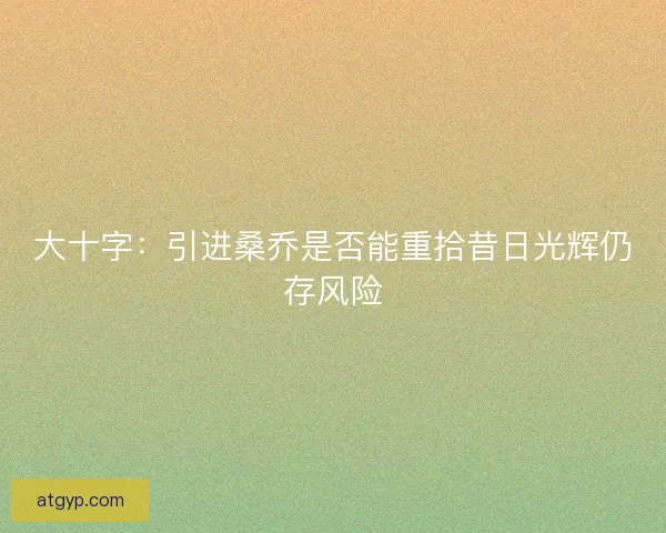 大十字：引进桑乔是否能重拾昔日光辉仍存风险
